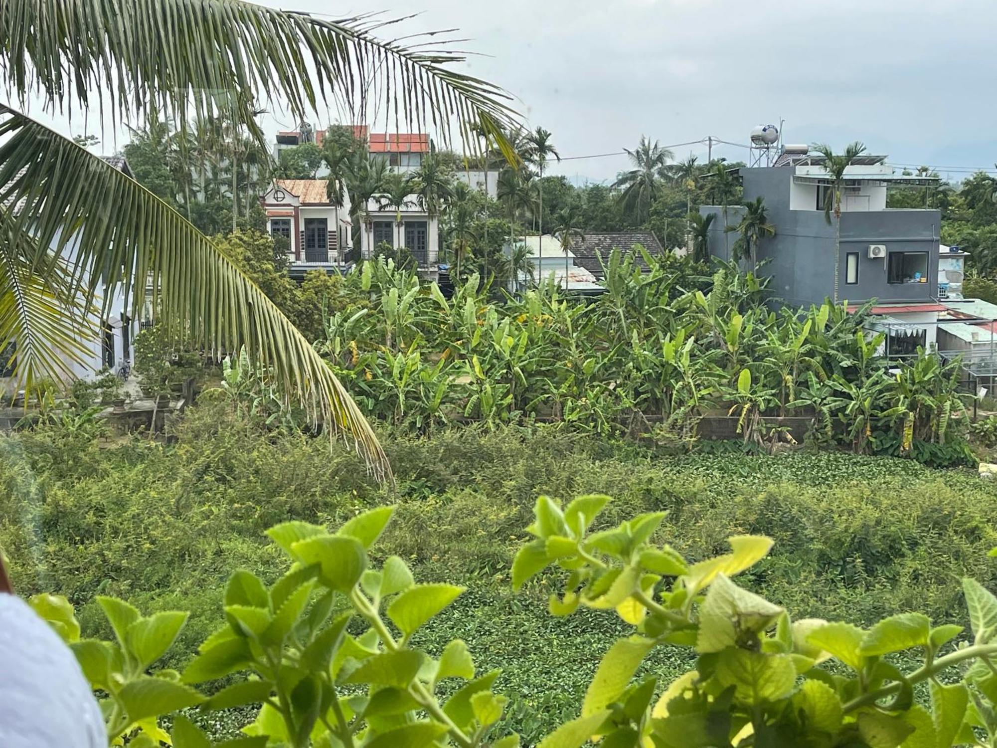 Hoi An Ti Hon House Villa ภายนอก รูปภาพ